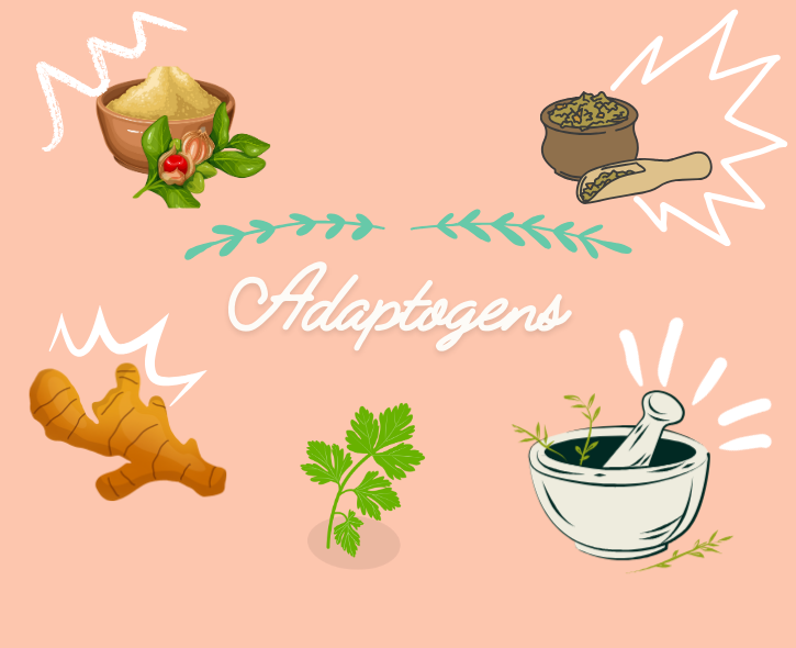 Beginner's Guide to Adaptogens – The Drill