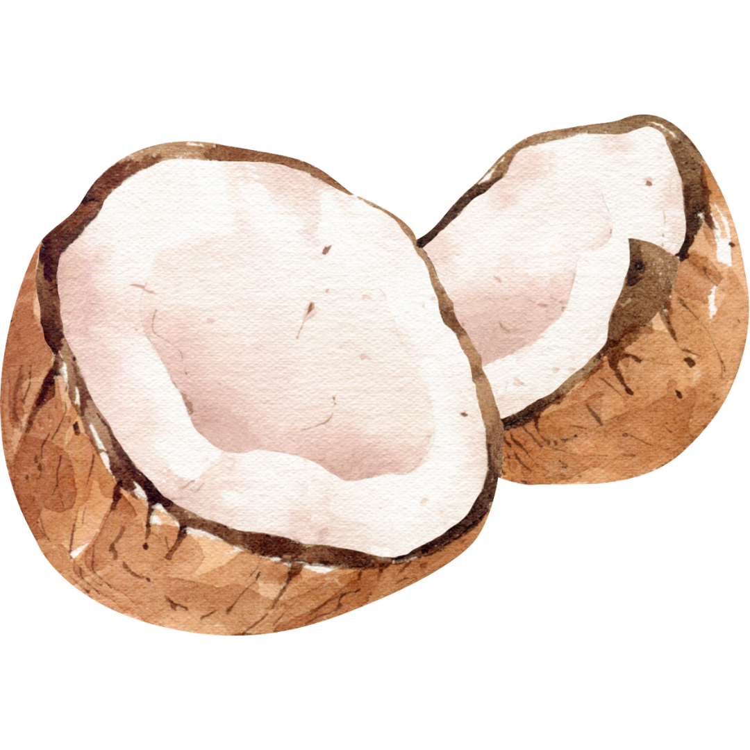 Cocoa beans