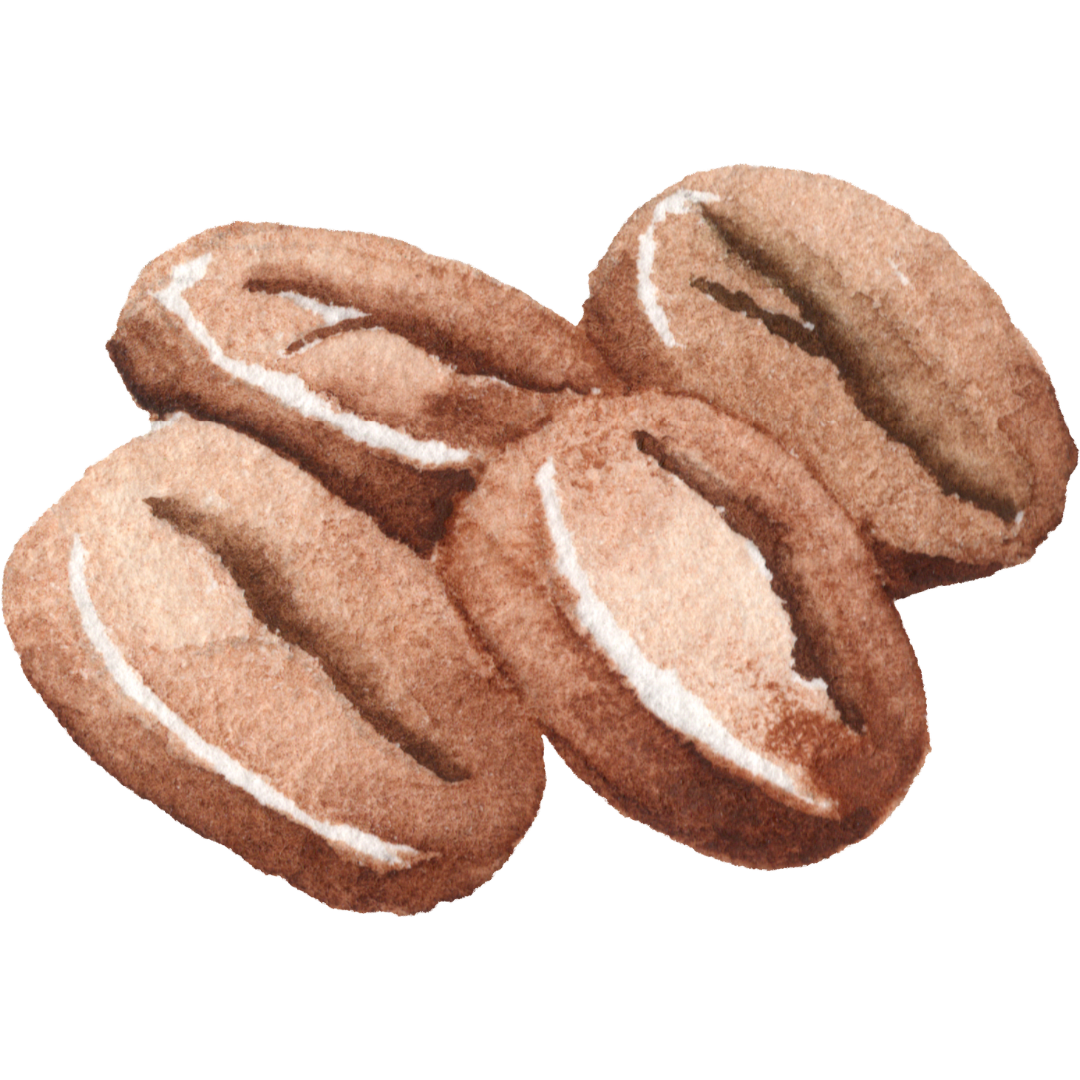 Cocoa beans